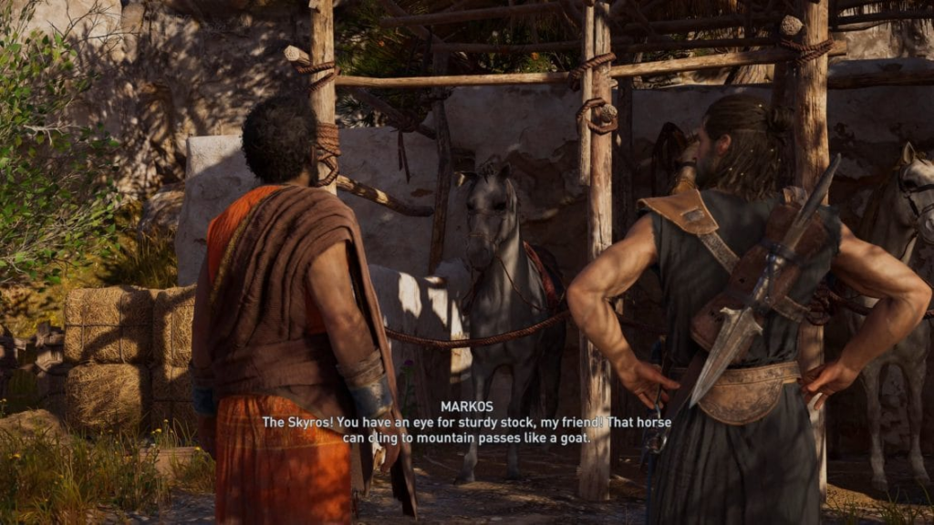image-219-1024x576 Assassin's Creed Odyssey: Başlangıç için hangi atı seçmeli?